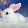 Хорошие сувениры / Piggy bank "Bunny"