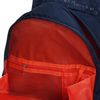 Grizzly / Backpack