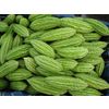 Dry bitter melon fruit