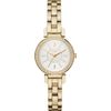 Orologi DKNY / Ellington NY2634