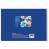 BRAUBERG  / Sketchbook "Palette", 205x290 mm, 32 sheets A4, comb, cardboard cover