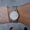 Skagen / Signatur SKW2910 watch