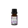 The essential oil of thyme SIBERINA