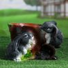 Хорошие сувениры / Figured pots "Two hares" 20x23x17 cm