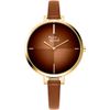 Reloj Pierre Ricaud / Correa P22040.1B1GQ