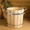 Добропаровъ / Dobroparov / Steamer 10 l with plastic insert, "Russian patterns"