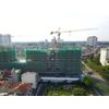 Consolidation of KOSMO TAY HO - NEWTATCO