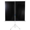 BRAUBERG / Projection screen 200x200 cm "Tripod"