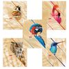 HATBER / Notebook А5, 80 sh., Staple, cage, selective varnish, "Birds" / 14 pcs.