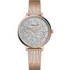 Adriatica / Montre Suisse Milano A3573.9147QN