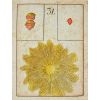 GamesDealer / Tarocchi: "Primal Lenormand"