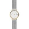 Skagen / Signatur SKW2910 watch