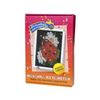 A set of creative mosaic of sequins "ladybug" size 19*27 cm