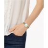 Skagen / Đồng hồ Anita SKW2907