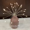 Kaemingk / LED Decoration Polar Asterisk 15 cm, 30 Warm White Micro LED Lights, Silver Wire, Battery Operated, IP44