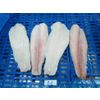 Pangasius fillet (Pangasius hypophthalmus)