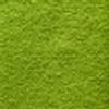 Tea extracts (green & black)