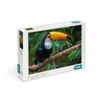 Dodo / Bulmaca "Kuş Toucan. Brezilya"