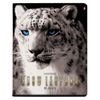 Альт / Notebook A5 48 l. bracket, cage, glossy varnish, "Big cats" / 10 pcs.