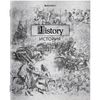 BRAUBERG / Notebook subject "SILVER" 48 sh., WITH SILVER COVER, HISTORY, cage, tip / 10 pcs.