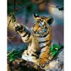 Опт-картина / Pittura con numeri 40x50 Cucciolo di tigre