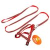 Пижон / Dude / Set reflective "Bones", width 1 cm, red