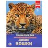 Умка / Umka / Encyclopedia "Wild cats"