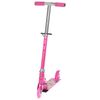 GRAFFITI / Scooter-snow scooter 2in1 "Siba"