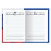 Agenda daté de 4 ans PETIT FORMAT (125x170 mm) A6+, BRAUBERG, 208 feuilles, couverture plastifiée, "RUSSE"