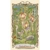 GamesDealer / Cartas de tarô: "Tarô de criaturas fantásticas"