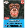 Умка / Umka / Enciclopedia "Los animales más inteligentes"