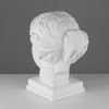 Мастерская Экорше / Plaster figure "Head of Venus de Milo"