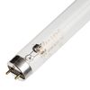 PHILIPS / BACTERICID ultraviolet lamp TUV, 30 W, G13, transparent bulb-tube 90 cm