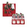 Set regalo "Trio" Naso rosso gelido "