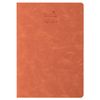 BRAUBERG / Notebook 48 y. checkered cover textured leatherette, stitching, A5 (147x210mm), ORANGE, SKY / 10 pcs.