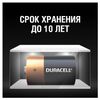 DURACELL / Batteries Basic, C (LR14, 14A) alkaline, SET 2 pcs. in blister