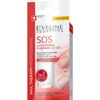 Sos for fragile and brittle nails - multivitamin preparation for strengthening the nails with calcium and collagen series nail therapy professional, Eveline, 12 ml