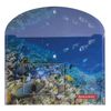 Thư mục phong bì có nút BRAUBERG "SEA WORLD", khổ A4, 160 micron, tối đa 100 tờ, in màu