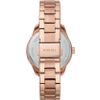 Fossil / Fóssil / Relógios Dayle BQ3599