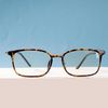 Сималенд /  Computer glasses "Sunshine C55"