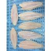 Pangasius fillet (Pangasius hypophthalmus)