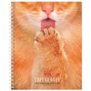 HATBER / Notebook А5, 48 sh., Comb, cage, cardboard cover, "Wake up the Beast in yourself!" / 10 pieces.