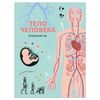 The human body. A visual guide of Peraboni K.