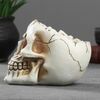 Хорошие сувениры / Stand for small things "Skull" 14x10x11 cm