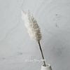 Kaemingk / Decorative branch with feathers Coral Serenity: Beige 88 cm