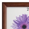 Frame premium 50x70 cm, wood, baguette 26 mm, "Berta", walnut