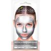 Mascarilla de metal purificante para pieles normales, mixtas y grasas, BIELENDA SILVER DETOX, BIELENDA, 8g