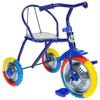 Bicycle "Micio TR-313"