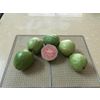 DRIED GUAVA FROM THE PRODUCER FACTORY