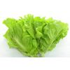 Fresh salad Royal Intertrade